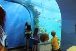resIMG_20140623_183348_2725.JPG